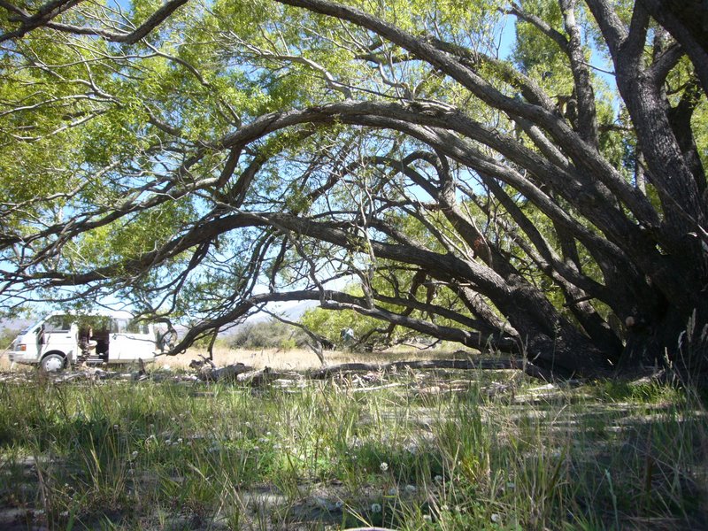 Travel - New Zealand - Glendhu Bay